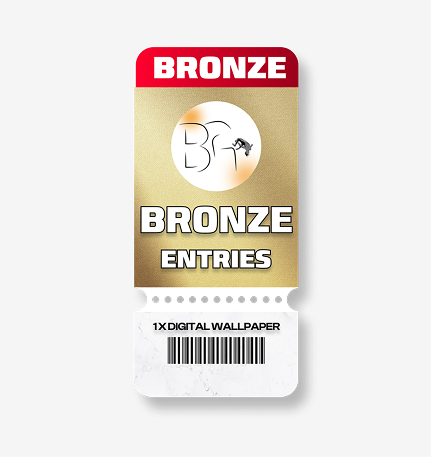Bronze Quick Entries